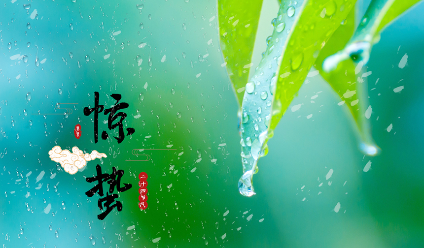 樅木驚蟄節(jié)氣志|碰一碰不散的酒杯，共赴春天的約會！