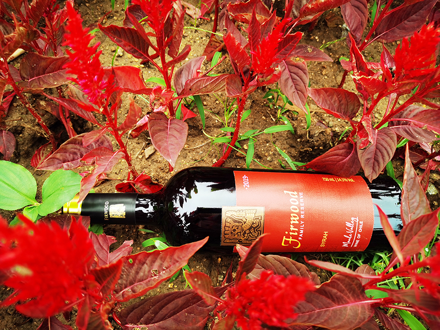 青島紅酒加盟|聊聊葡萄酒的年份