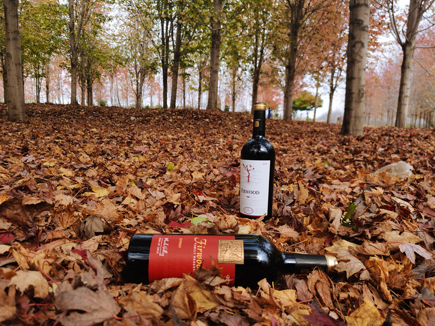 樅木國際紅酒知識 | 聊聊法國葡萄酒的分級制度