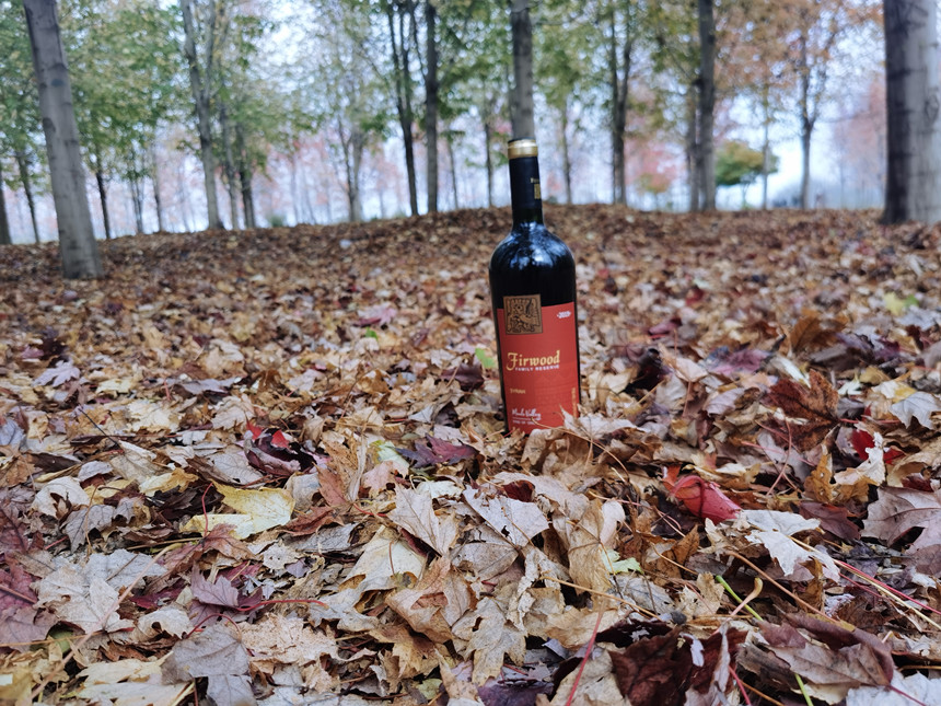 樅木紅酒小課堂 | 葡萄酒瓶越重，酒的品質(zhì)就越好嗎？