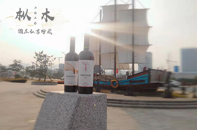 一篇文章讓你讀懂智利葡萄酒