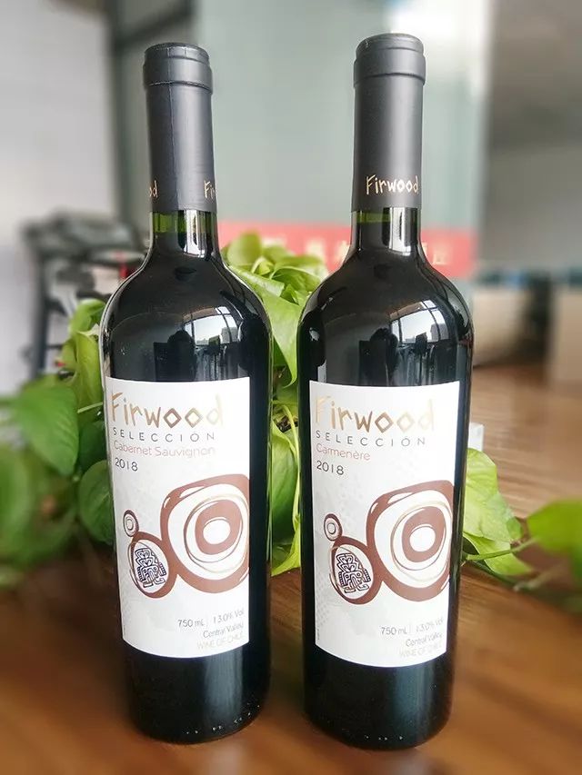 一篇文章讓你讀懂智利葡萄酒