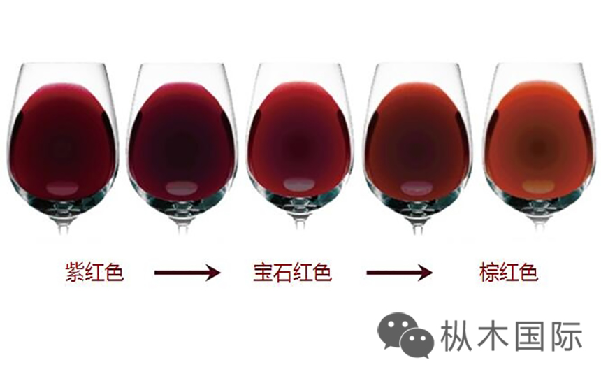 葡萄酒按顏色分為哪幾類？