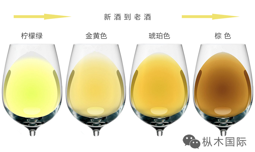 葡萄酒按顏色分為哪幾類？