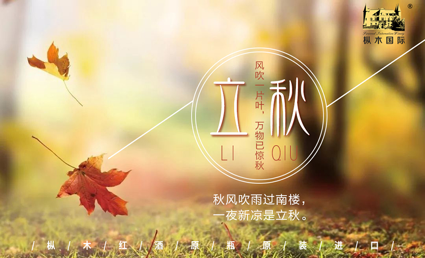 樅木節氣志|立于醇熟之境，奔赴希望之秋！