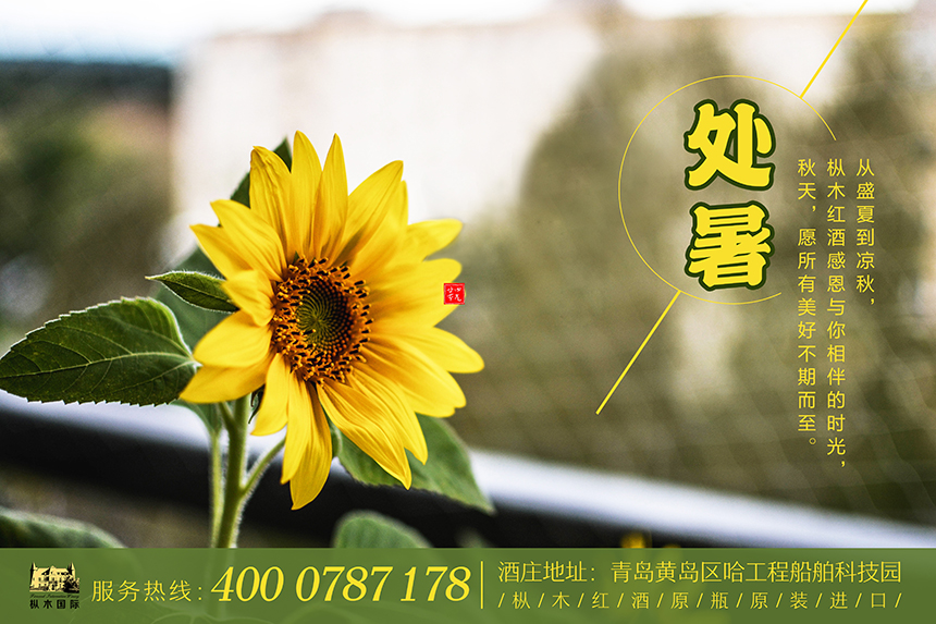 樅木處暑節氣志|處暑谷漸黃，佳釀愈濃香！