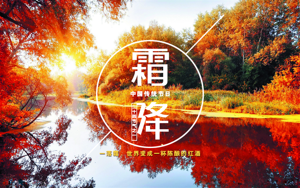 樅木霜降節氣志 | 一朝秋暮露成霜，濃情一杯冷意皆退!