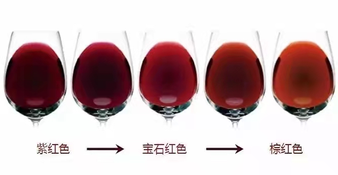 為什么陳年的紅葡萄酒顏色越來越淺，白葡萄酒顏色卻越來越深?