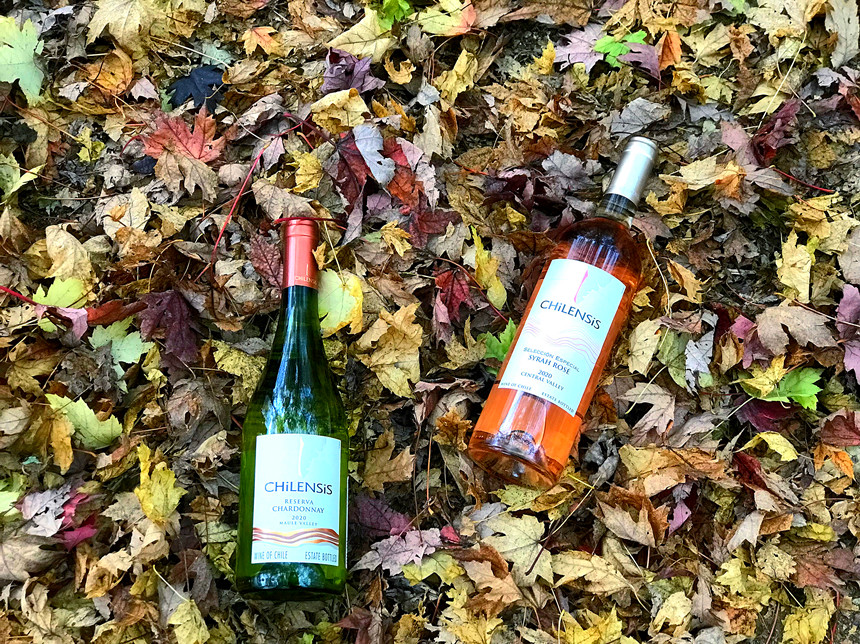 菏澤進口紅酒代理 | 14.5度的紅酒是好酒嗎