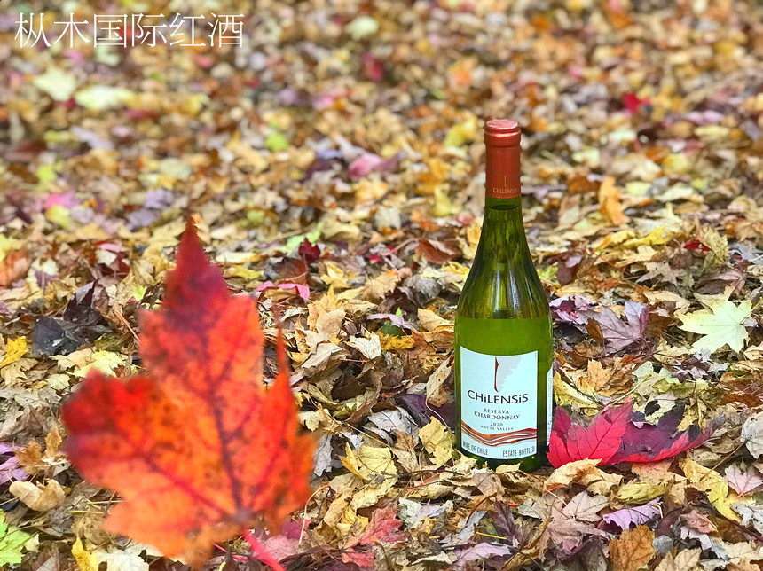 菏澤進口紅酒代理 | 14.5度的紅酒是好酒嗎