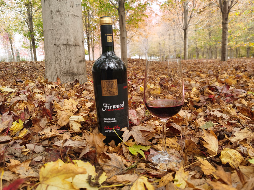 樅木紅酒小課堂 | 葡萄酒瓶越重，酒的品質就越好嗎？