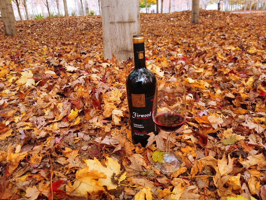 樅木紅酒小課堂 | 葡萄酒瓶越重，酒的品質就越好嗎？