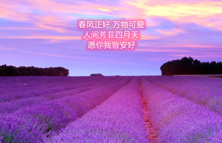 樅木國(guó)際酒莊 | 四月，你好！愿人生所向皆是美好